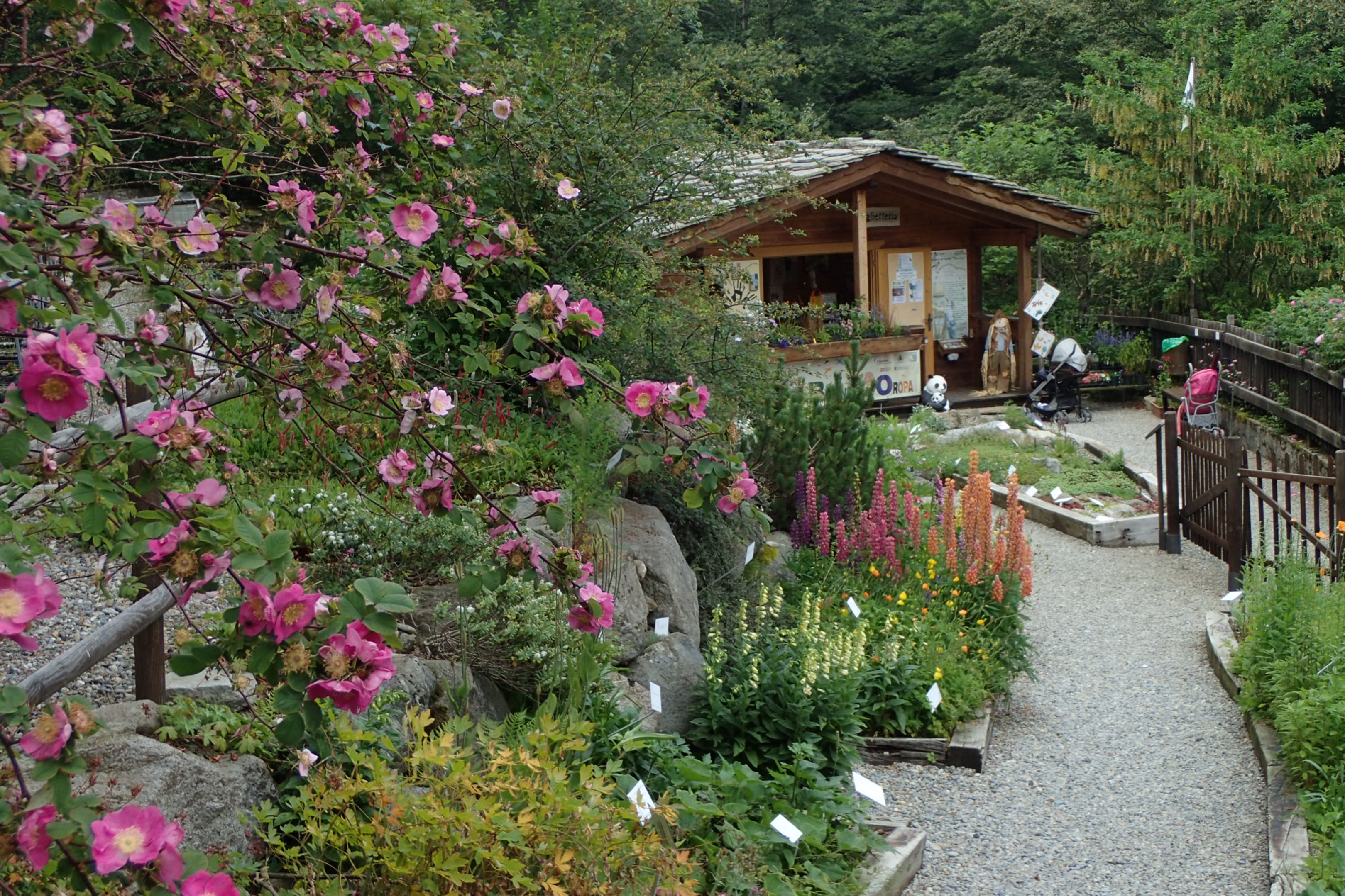 Giardino botanico del Parco Oropa
